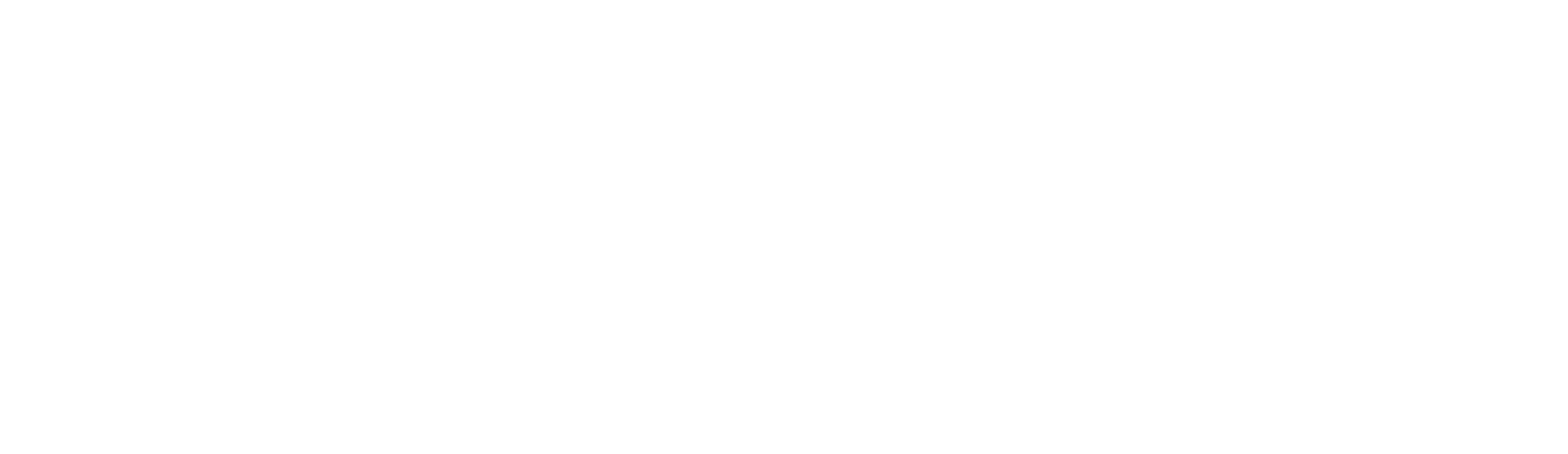 Digistore24 logo